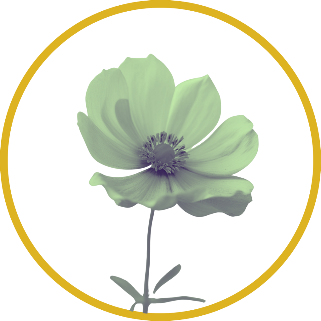 ViureNou Team Member